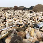 5 Star In 펜션 Blåvand