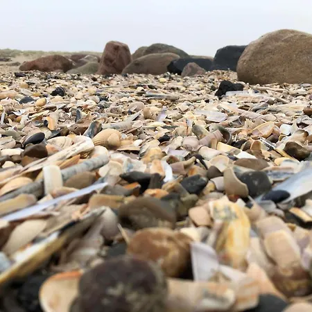 Luxury Retreat - By Traum Hébergement de vacances Blåvand