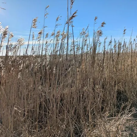 Luxury Retreat - By Traum *